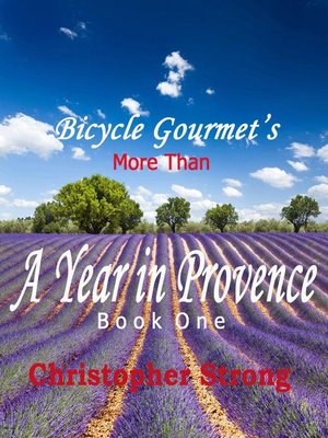 cover image of more than a year in provence